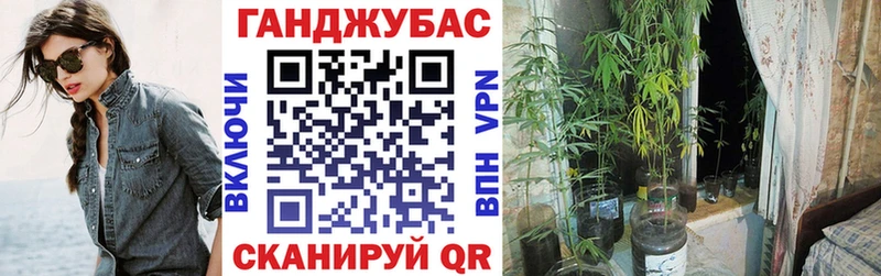 Каннабис VHQ  цена наркотик  ОМГ ОМГ маркетплейс  Порхов 